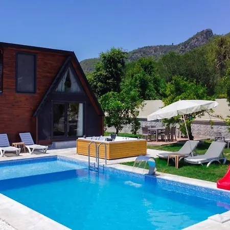With Pool Jacuzzi And Backyard In Inlice Villa *