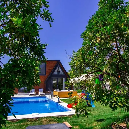 With Pool Jacuzzi And Backyard In Inlice Villa *